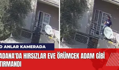 Adana'da hırsızlar eve Örümcek Adam gibi tırmandı!