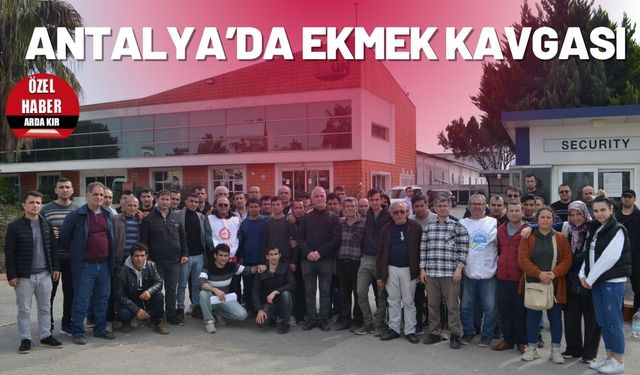 Antalya’da EKMEK kavgası