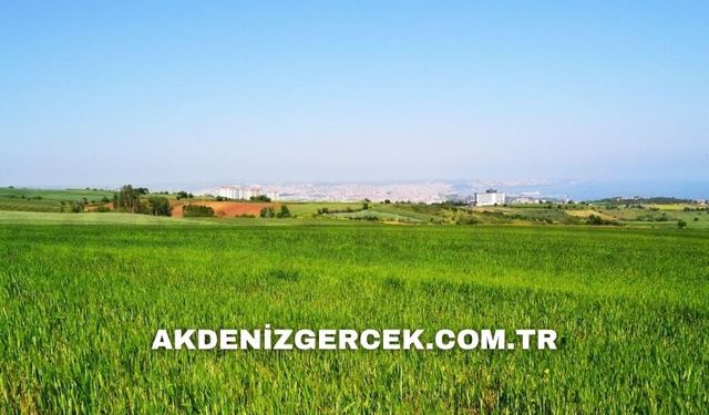 Antalya Serik'te mahkemeden satılık 473 m² tarla