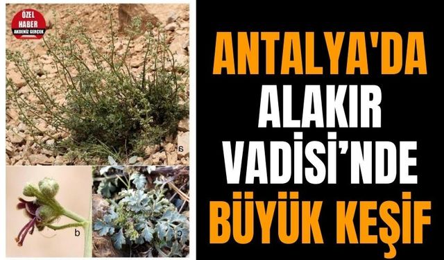 Antalya'da Alakır Vadisi’nde büyük keşif