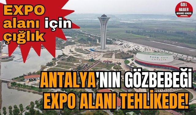 Antalya'nın gözbebeği EXPO alanı tehlikede! EXPO alanı için çığlık