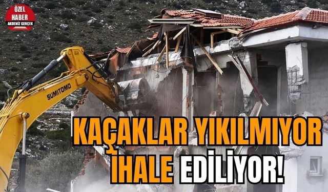 Kaçaklar yıkılmıyor ihale ediliyor