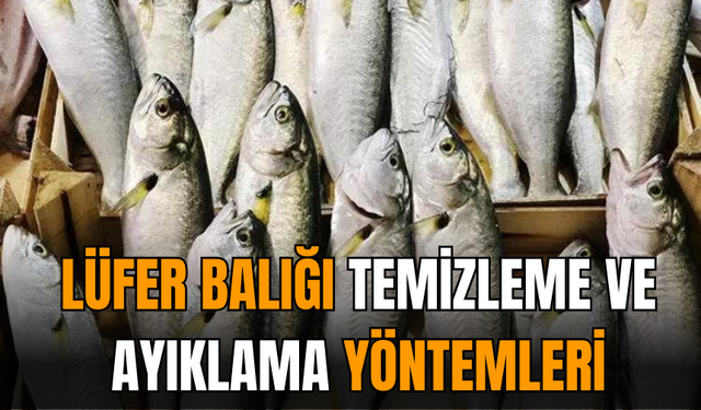 Lüfer Balığı Temizleme ve Ayıklama Yöntemleri