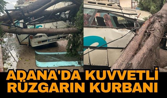 Adana'da kuvvetli rüzgarın kurbanı! Midibüs ağaç devrilmesi sonucu hurdaya döndü