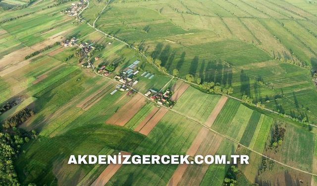 Aydın Germencik'te mahkemeden satılık 971 m² arsa