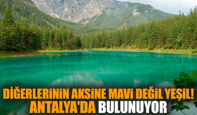 Diğerlerinin aksine mavi değil yeşil! Antalya'da bulunuyor