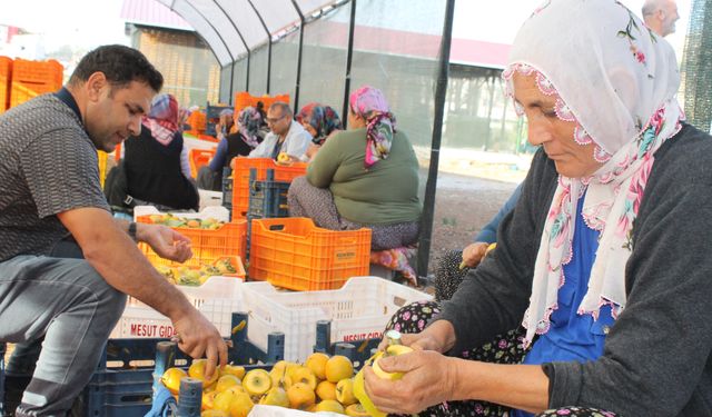 Hurma kurutma işi Kozan'ı açık hava fabrikasına dönüştürdü