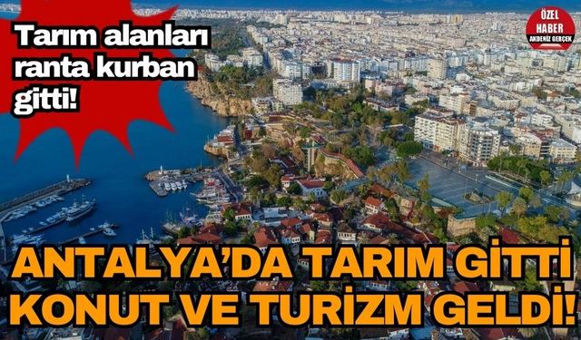 Antalya’da tarım gitti konut ve turizm geldi! Tarım alanları ranta kurban gitti