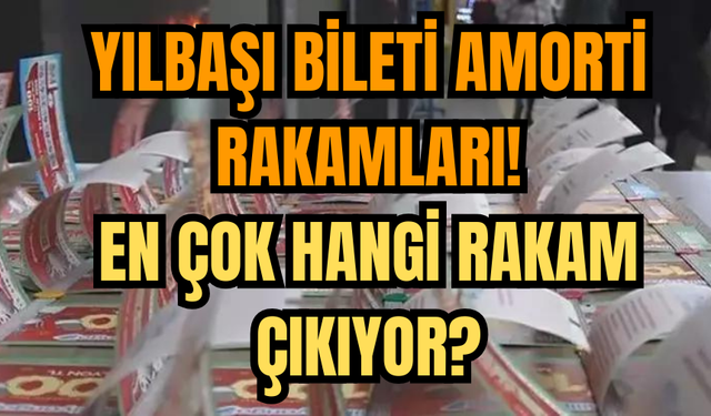 Yılbaşı Bileti Amorti Rakamları: En Çok Hangi Rakam Çıkıyor?