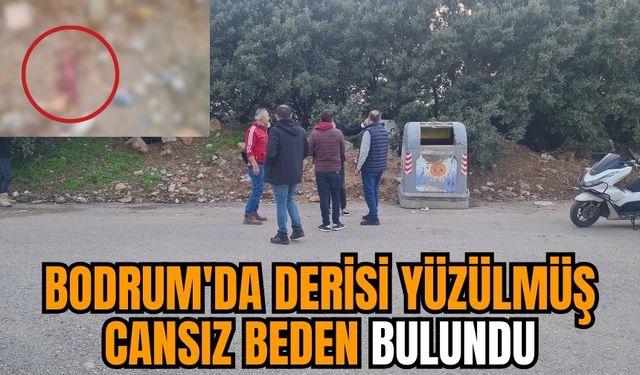 Bodrum'da derisi yüzülmüş cansız beden bulundu