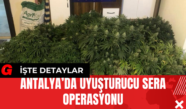 Antalya’da Uy*şturucu Sera Operasyonu