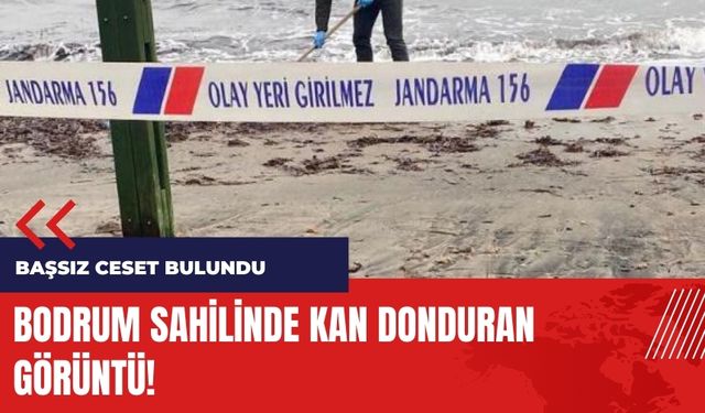 Bodrum'da kan donduran görüntü! Başsız ces*t bulundu