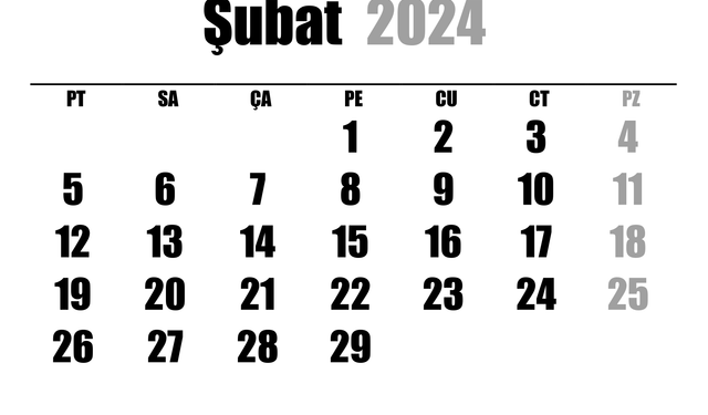 Artık Yıl Nedir ve 2024 Şubat Ayı Kaç Gün?