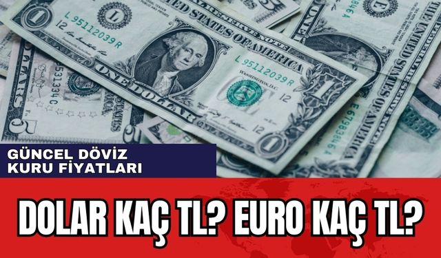 Dolar kaç TL? Euro kaç lira oldu? 18 Nisan 2024 Perşembe