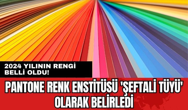 2024 yılının rengi belli oldu! Pantone Renk Enstitüsü 'Şeftali Tüyü' olarak belirledi