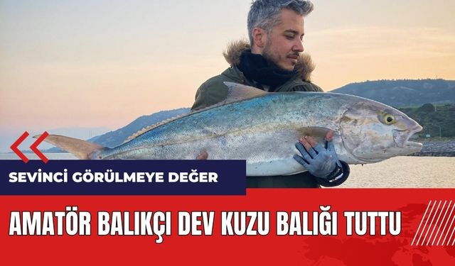 Amatör balıkçı dev kuzu balığı tuttu