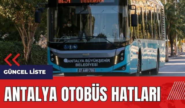 Antalya otobüs hatları