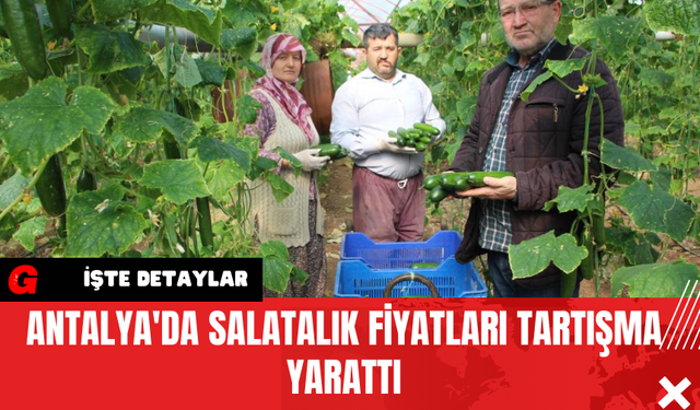 Antalya'da Salatalık Fiyatları Tartışma Yarattı