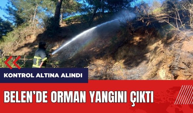 Belen'de orman yangını çıktı