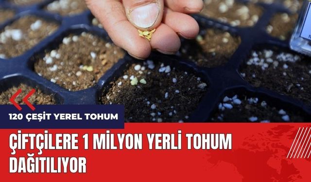 Çiftçilere 1 milyon yerli tohum dağıtılıyor