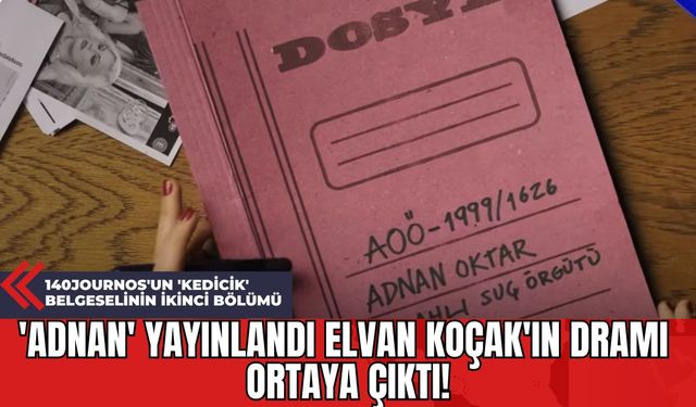 140Journos'un 'Kedicik' Belgeselinin İkinci Bölümü: 'Adnan' Yayınlandı Elvan Koçak'ın Dramı Ortaya Çıktı