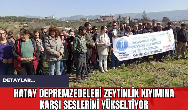 Hatay Depremzedeleri Zeytinlik Kıyımına Karşı Seslerini Yükseltiyor