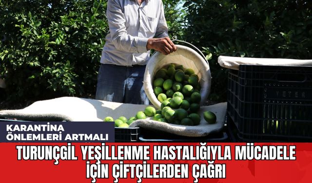 Turunçgil Yeşillenme Hastalığıyla Mücadele İçin Çiftçilerden Çağrı: Karantina Önlemleri Artmalı