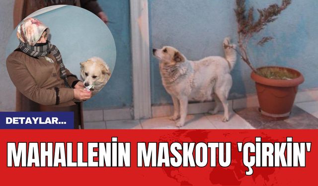 Mahallenin Maskotu 'Çirkin'