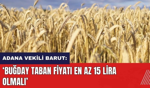 Adana Vekili Barut: Buğday taban fiyatı en az 15 lira olmalı