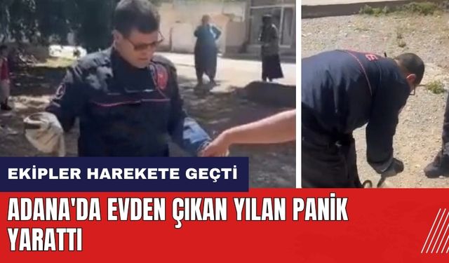 Adana'da evden çıkan yılan panik yarattı