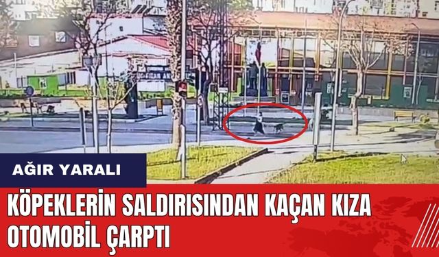 Adana'da köpeklerin saldırısından kaçan kıza otomobil çarptı