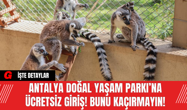 Antalya Doğal Yaşam Parkı’na Ücretsiz Giriş! Bunu Kaçırmayın!