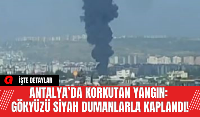 Antalya’da Korkutan Yangın: Gökyüzü Siyah Dumanlarla Kaplandı!