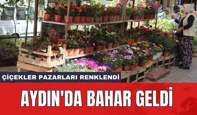 Aydın'da bahar geldi: Çiçekler pazarları renklendi