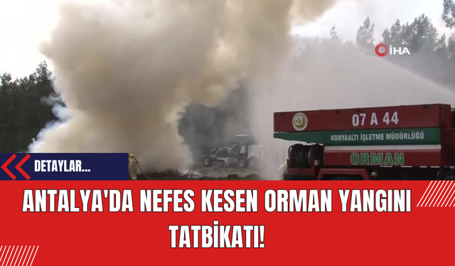 Antalya'da Nefes Kesen Orman Yangını Tatbikatı!