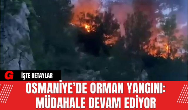 Osmaniye’de Orman Yangını: Müdahale Devam Ediyor