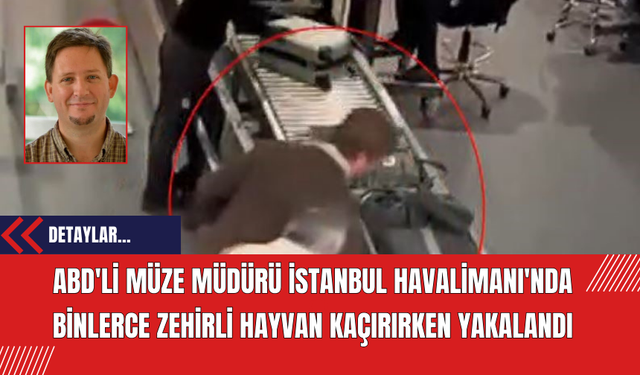 ABD'li Müze Müdürü İstanbul Havalimanı'nda Binlerce Zehirli Hayvan Kaçırırken Yakalandı