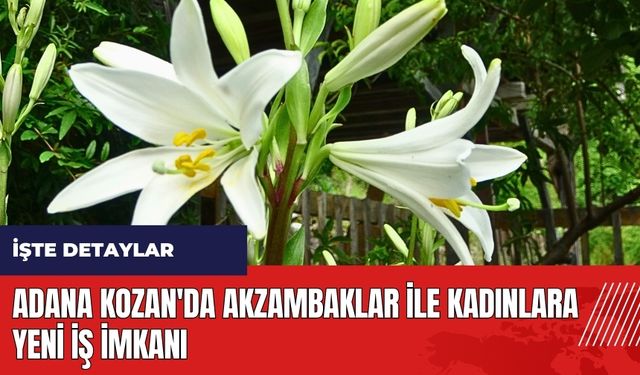 Adana Kozan'da Akzambaklar ile kadınlara yeni iş imkanı