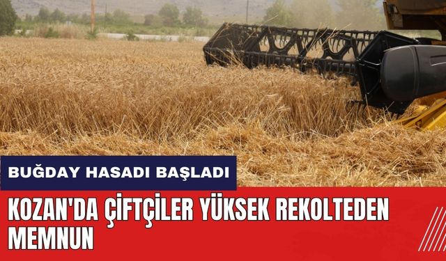 Adana Kozan'da buğday hasadı başladı! Çiftçiler yüksek rekolteden memnun