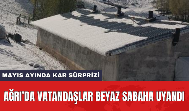 Ağrı’da vatandaşlar beyaz sabaha uyandı