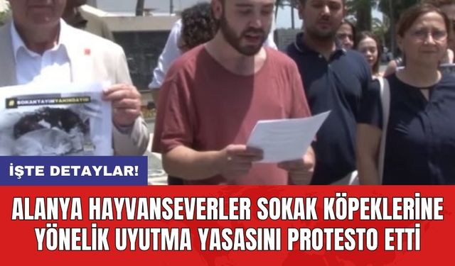 Alanya hayvanseverler sokak köpeklerine yönelik uyutma yasasını protesto etti