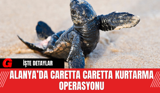 Alanya’da Caretta Caretta Kurtarma Operasyonu