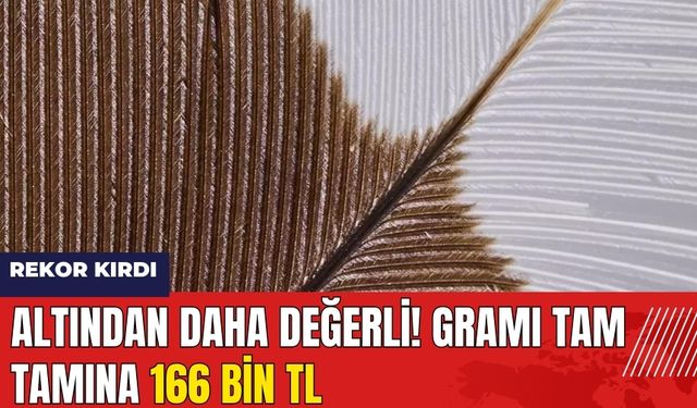 Altından Daha Değerli! Gramı 166 Bin TL