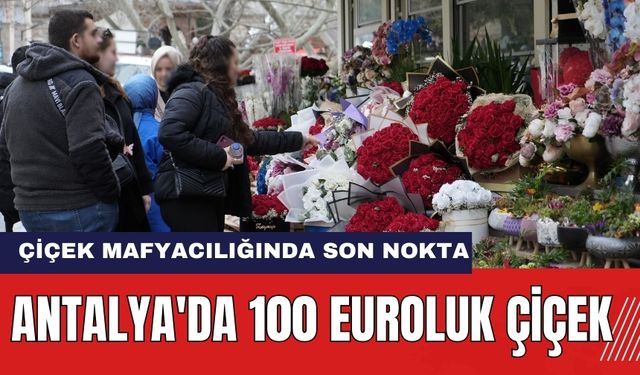 Antalya'da 100 Euroluk Çiçek