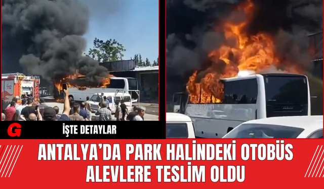 Antalya’da Park Halindeki Otobüs Alevlere Teslim Oldu