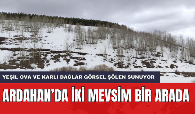 Ardahan’da iki mevsim bir arada: Yeşil ova ve karlı dağlar görsel şölen sunuyor