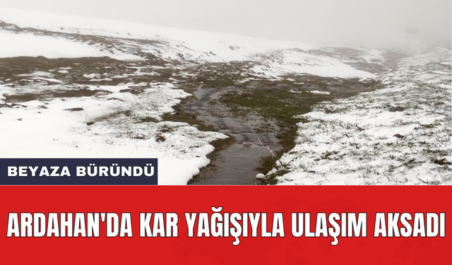 Ardahan'da kar yağışıyla ulaşım aksadı