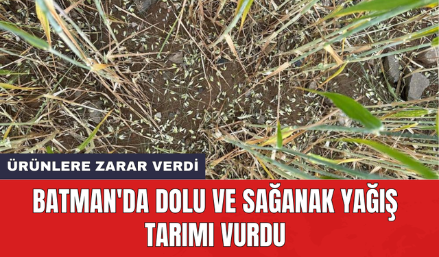 Batman'da dolu ve sağanak yağış tarımı vurdu