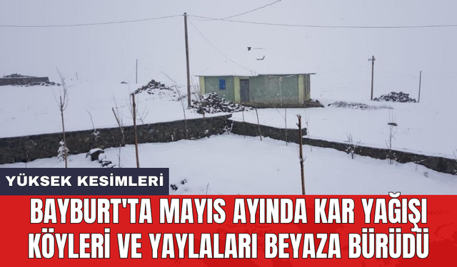 Bayburt'ta Mayıs ayında kar yağışı köyleri ve yaylaları beyaza bürüdü