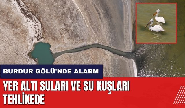 Burdur Gölü'nde alarm! Yer altı suları ve su kuşları tehlikede